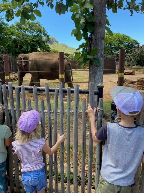 Hawaiin Zoo